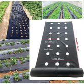 VEGMESH™ - ΜΕΜΒΡΑΝΗ ΓΙΑ ΦΥΤΕΥΣΗ (1x10m)