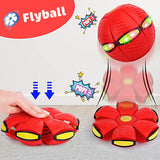 FLYBALL™ - ΜΠΆΛΑ FRISBEE 1 + 1 ΔΩΡΕΆΝ